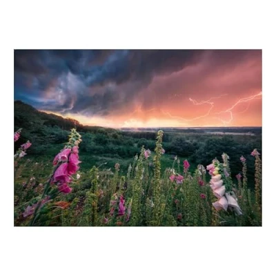 Imagen de Ravensburger Puzzle: Trueno de Ensueño, 1000 piezas, Puzzles para Adultos, Rompecabezas Regalos a Partir 14 Años, 70x50cm