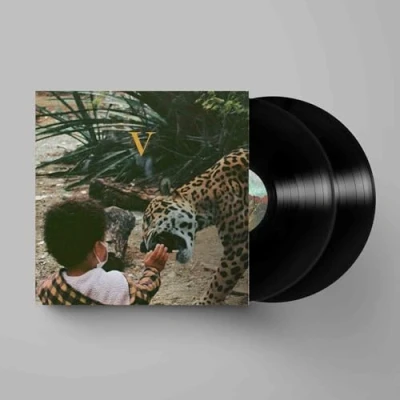 Imagen de V [Vinilo]