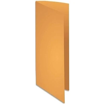 Imagen de Exacompta 210026E Lote de 100 Subcarpetas Rock&quot;S 220, Color Naranja