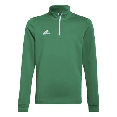 Imagen de Adidas ENT22 TR TOPY Sweatshirt, Team Green/White, 13 Years Unisex Kids