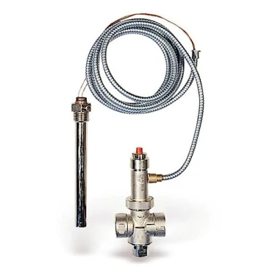Imagen de térmica desagüe Seguridad Watts STS de 20