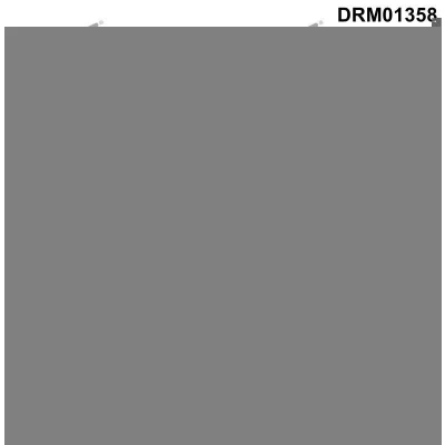 Imagen de Tapón roscado, colector de aceite Dr.Motor Automotive DRM01358