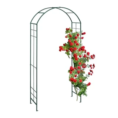 Imagen de Relaxdays Arco de Jardín Metálico, Tutor Enredaderas y Rosas, 224 x 110 41 cm, Soporte Trepadoras, Resistente, Verde, Hierro