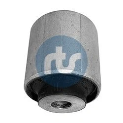 Imagen de brazo oscilante, bujes de RTS 017 00460