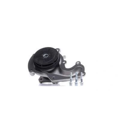 Imagen de DOLZ F201 Bomba de agua FORD: Tourneo Connect, Focus 2, Mk1 Hatchback