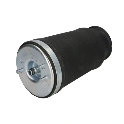 Imagen de Magnum Technology MZB010MT Muelle neumático, suspensión Eje trasero izquierda BMW: 5 Touring