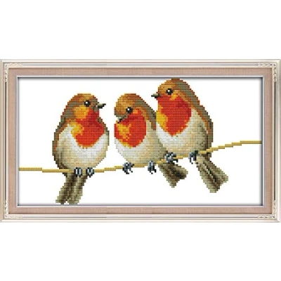 Imagen de kit de punto cruz, tres pájaros impresionantes patrones fáciles coser en bordado suministros Navidad, estampado o contado (pájaros, estampado)