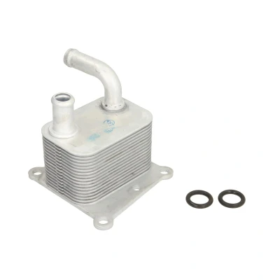 Imagen de THERMOTEC D4G011TT Radiador de Aceite FORD: Focus Mk1 Hatchback, Transit Connect Furgón, Tourneo