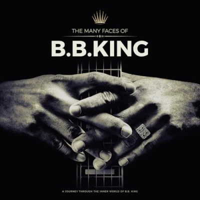 Imagen de THE MANY FACES OF BB KING (COLOR GREY) 2LP [Vinilo]
