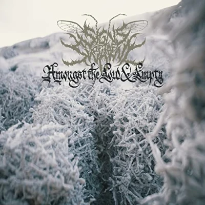 Imagen de Amongst The Low &amp; Empty [Vinilo]