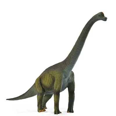 Imagen de Collecta Brachiosaurus L Deqube Animales Dinosaurios y Criaturas prehistóricas, Multicolor, 8.5&quot;&quot; x 5.9&quot;&quot; H (COL88121)
