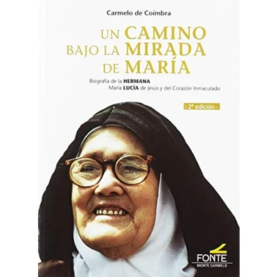 Imagen de Un camino bajo la mirada de María (SIN COLECCION)