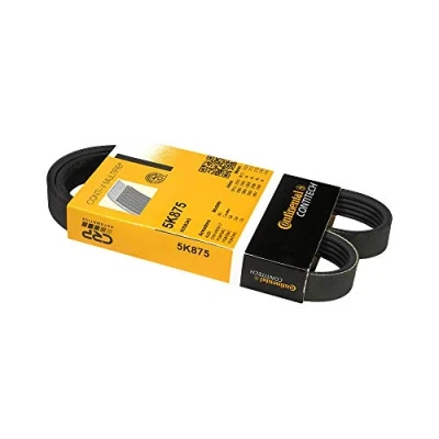 Imagen de CONTITECH 5PK875 Correa trapecial poli V 875 5 RENAULT: CLIO 2, Kangoo I, 1, FORD: MONDEO 1 Kombi