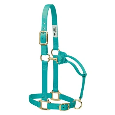 Imagen de Weaver Leather Caballo de Nylon Ajustable Original, Grande, Menta