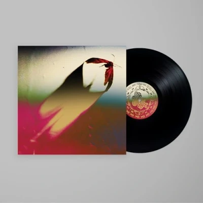 Imagen de Are We All Angels Vinilo Scowl