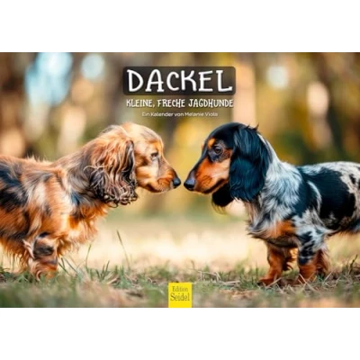 Imagen de Edition Seidel calendario premium de perro salchicha pequeños traviesos perros caza 2025, formato DIN A3, pared, para perros, cachorros, razas mascotas, caza,