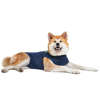 Imagen de MPS Medical Pet Shirt, Perro, Azul, XXL