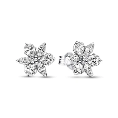 Imagen de Pandora Timeless Mujeres Auriculares Plata 292633C01