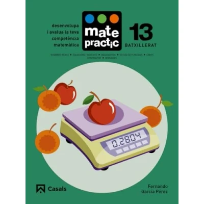 Imagen de QUADERN Matepractic 13 BA (Matepractic català)