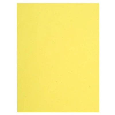 Imagen de Exacompta Flash 80 Paquete de 100 subcarpetas, 22 x 31 cm, color amarillo