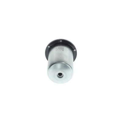 Imagen de BOSCH F 026 402 378 Filtro Combustible de tubería 10mm RENAULT: MASTER 3 Kasten, 3, Trafic NISSAN: NP300 Navara Pick up