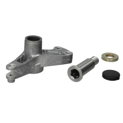 Imagen de SWAG 10 03 1700 Brazo tensor, correa trapecial poli V con material de montaje añadido tapa MERCEDES BENZ: Clase E Berlina, W124 Berlina