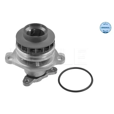 Imagen de MEYLE 16 13 220 0020 Bomba de agua con junta ORIGINAL Quality RENAULT: LAGUNA 2, MEGANE 3, SCENIC NISSAN: Qashqai / Qashqai+2 I, Primastar Furgón