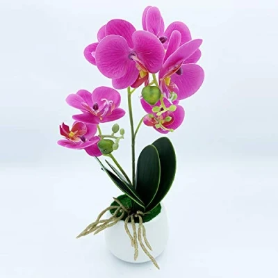 Imagen de Planta de orquidea con tacto natural 42 cm en color lila maceta ceramica