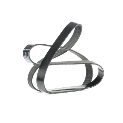 Imagen de DAYCO 7PK1687S Correa trapecial poli V 1687,0 7 RENAULT: MEGANE 3, GRAND SCENIC NISSAN: Qashqai / Qashqai+2 I, 2