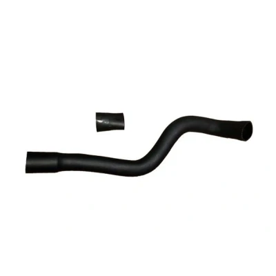 Imagen de BUGIAD 88815 Manguera Turbo 46, 58 con abrazaderas RENAULT: SCENIC 2, MEGANE 2 Stufenheck