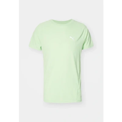 Imagen de Puma Evostripe TEE Camiseta deportiva, Hombre, Talla: Large, Spring fern