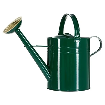 Imagen de Dehner Regadera en Estilo nostálgico, 9 l, Aprox. 48 x 37 21 cm, Zinc, Verde