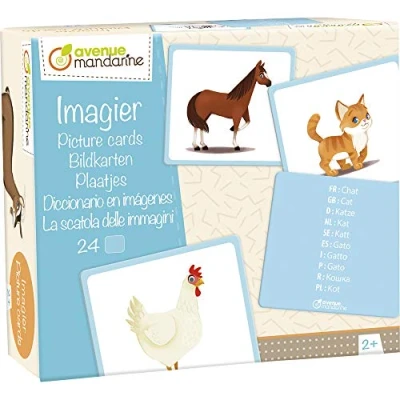Imagen de Avenue Mandarine JE513C Caja de imágenes con 24 Sobres multilingües (traducción a 10 idiomas) 11,5 x 12,7 cm, animales familiares