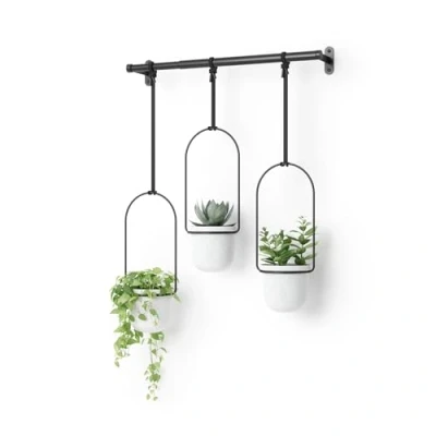 Imagen de Umbra Triflora Maceteros colgantes, Blanco