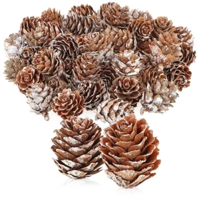 Imagen de com four® 50x Conos de alerce Decorativos Decoraciones dispersas para otoño e Invierno pequeños piñas Pino (50x Blancas)