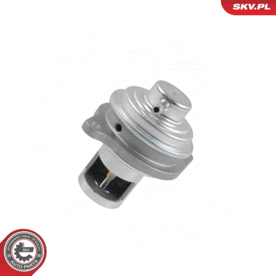 Imagen de Válvula EGR ESEN SKV 14SKV326