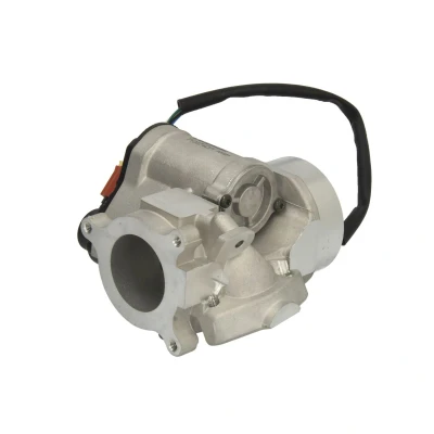 Imagen de WAHLER 710974D/1 Válvula EGR eléctrico con junta RENAULT: MASTER 2 Kasten, TRAFIC LAGUNA 2, OPEL: Vivaro A Combi, Furgón
