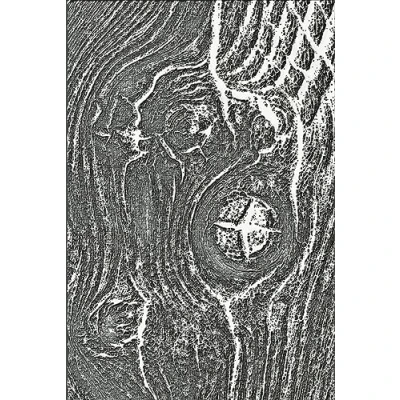 Imagen de Sizzix Carpeta 3D Texture Fades en Relieve Woodgrain de Tim Holtz 666297 Álbumes Recortes, Tarjetas, Diarios, Silver, One Size