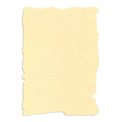 Imagen de APLI SCL2058D Papel pergamino champán precortado A4 95 g 10 hojas