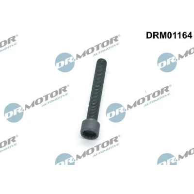 Imagen de DR.MOTOR AUTOMOTIVE DRM01164 Tornillo, soporte inyector VOLKSWAGEN: Crafter 30 50 Furgón