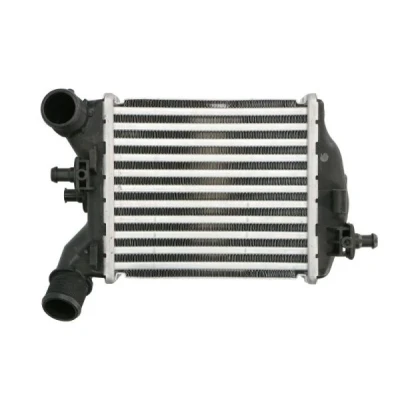 Imagen de Radiador de aire admisión THERMOTEC DAF017TT