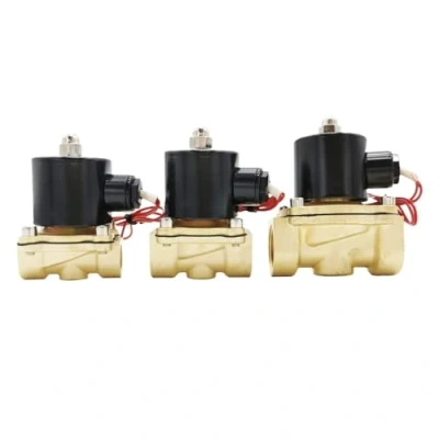 Imagen de BIQSYVTM Electroválvula eléctrica Normalmente Cerrada AC220V a Prueba de Agua G3/8&quot; G1/2&quot; G3/4&quot; G1 1/4 1/2 G2 DC12V 24V(AC110V,2 Inch)