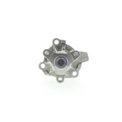 Imagen de AISIN WPN 930 Bomba de agua NISSAN: Pathfinder 3, NP300 Navara Pick up, Camión plataforma / Chasis