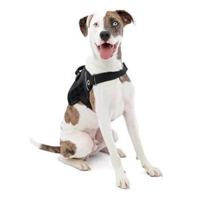 Imagen de Kurgo RSG Townie Arnés de Seguridad para Perros, Adiestramiento Perros Guía, Reflectante, Compatible con MOLLE Negro, M