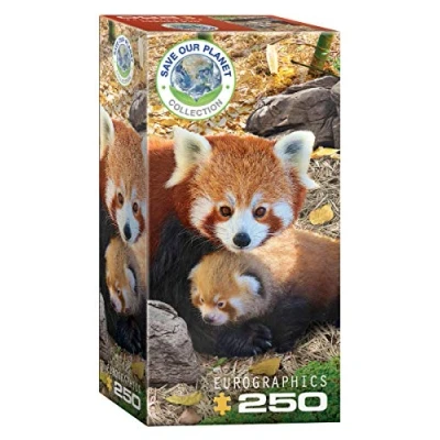 Imagen de Eurographics EG82515557 Puzzle 250 Pc Red Pandas, Varios