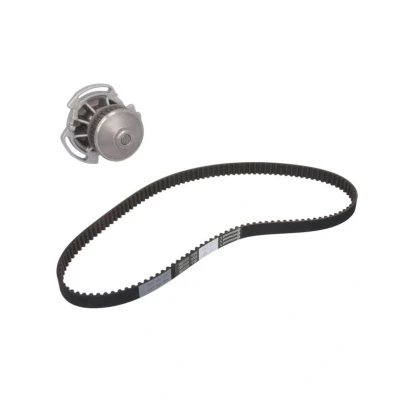 Imagen de CONTITECH CT629WP1 Bomba de Agua + Kit Distribucion 128 SEAT: Ibiza 2, Córdoba I Berlina, Vario, VOLKSWAGEN: Polo II Coupé, GOLF 3