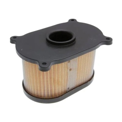 Imagen de Inserto De Filtro Aire Hyosung GT 125 250 650 Aquila