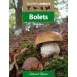 Imagen de Bolets