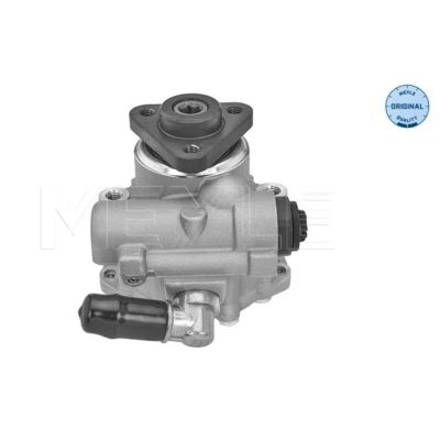 Imagen de MEYLE 114 631 0054 Bomba de Direccion hidráulico AUDI: A6 C5 Avant, Berlina