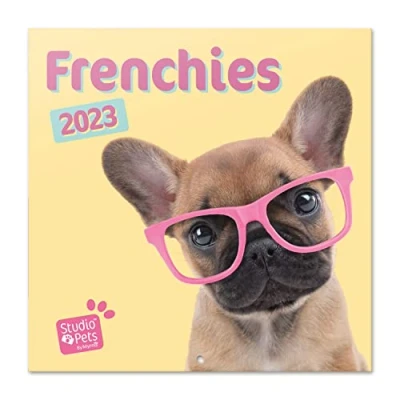 Imagen de Grupo Erik Calendario Studio Pets Bulldod francés 2023 Çalendario perros pared con certificado FSC mensual 30x30 cm Licencia oficial